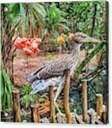 Heron On Guard Acrylic Print