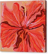 Hibiscus Color Lines Acrylic Print