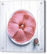 Hibiscus Acrylic Print