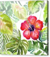 Hibiscus On Selva Acrylic Print