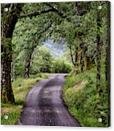 Highland Road - Scotland Acrylic Print