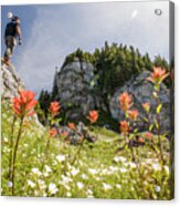 Hiker Standing On Bluff Above Alpine Meadow Filled With Flowers. Acrylic Print