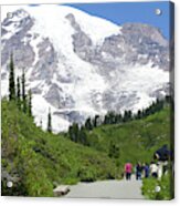 Hikers On Trail Above Paradise With  Mount Rainier Acrylic Print