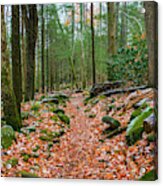 Hiking Trail In Autumn Acrylic Print