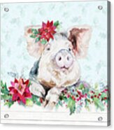 Holiday Little Piggy Acrylic Print