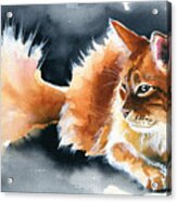 Holy Ginger Fluff - Cat Painting Acrylic Print