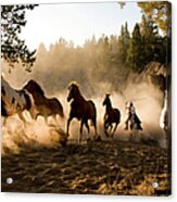 Horses Being Chased By Cowboy Through Acrylic Print