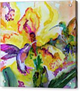 Hummingbird Song Watercolor Acrylic Print