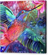 Hummingbird's Song Acrylic Print