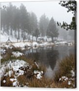 Idyllic Winter Forest Landscape  At Troodos Mountains, Cyprus Acrylic Print