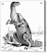 Iguanodon, 1895 Acrylic Print