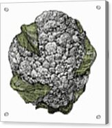 Illustration Of Cauliflower Acrylic Print