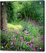 In The Land Of Pink Flowers Acrylic Print