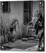 India - Street Photo Bw Acrylic Print