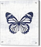Indigo And White Butterfly 3- Art By Linda Woods Acrylic Print