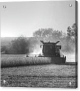 Iowa Soybean Picking Acrylic Print