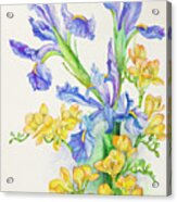 Iris With Gold Fuscia Acrylic Print