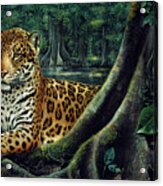 Jaguar By The River Acrylic Print