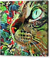 Jungle Cat Acrylic Print