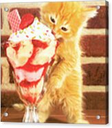 Kitten With Sundae Acrylic Print