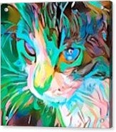 Kitty Abstract Flowing Paint Blue Green Acrylic Print