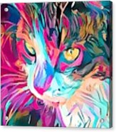 Kitty Abstract Flowing Paint Acrylic Print