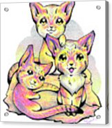 Kolorful Kitties Acrylic Print