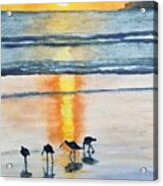 Coronado Sunset Acrylic Print