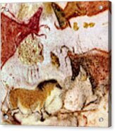 Lascaux Horse And Cows Acrylic Print