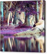 Lavender Dreams Acrylic Print