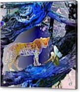 Leopard  Dreaming Acrylic Print