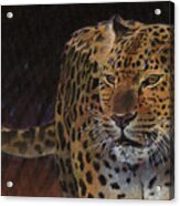 Leopard Acrylic Print