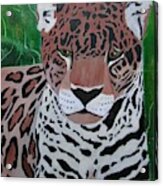 Leopard Acrylic Print