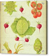 Les Beaux L?gumes (the Beautiful Vegetables) Vintage Acrylic Print