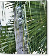 Lights Fronds Action Acrylic Print