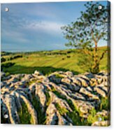 Limestone Pavement, Malham Cove Acrylic Print