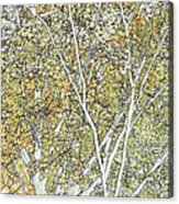 Line Drawing Of Foliage, Leaves And Acrylic Print