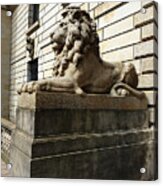 Lion Sculpture - Rathaus Courtyard Entrance Acrylic Print
