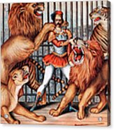 Lion Tamer, Circus Animal Acrylic Print