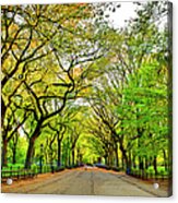 Literary Walk In Central Park At Fall Acrylic Print