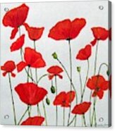 Litter Of Poppies Acrylic Print