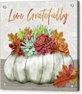 Live Gratefully Succulent Gray Pumpkin Arrangement By Jen Montgomery Acrylic Print
