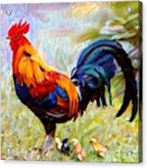 Local Chickens Acrylic Print