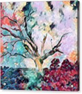 Lone Tree Colorful Abstract Acrylic Print