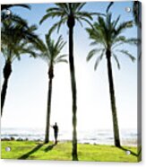 Lord Contemplating The Sea Between Palm Trees On The Beach Of Pl Acrylic Print
