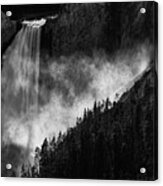 Lower Yellowstone Falls Acrylic Print