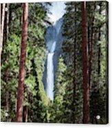Lower Yosemite Fall And Forest, Yosemite Np, Usa Acrylic Print