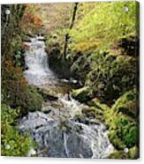Lynmouth River Woodland Acrylic Print