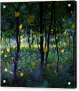 Magic Fireflies Acrylic Print