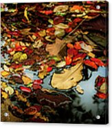 Magic Of Autumn - 3 Acrylic Print